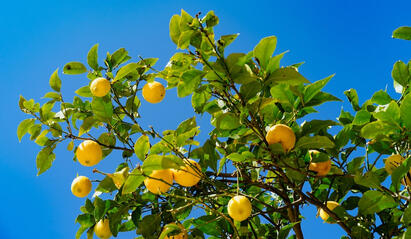 IMPORTANT INFO ABOUT ME